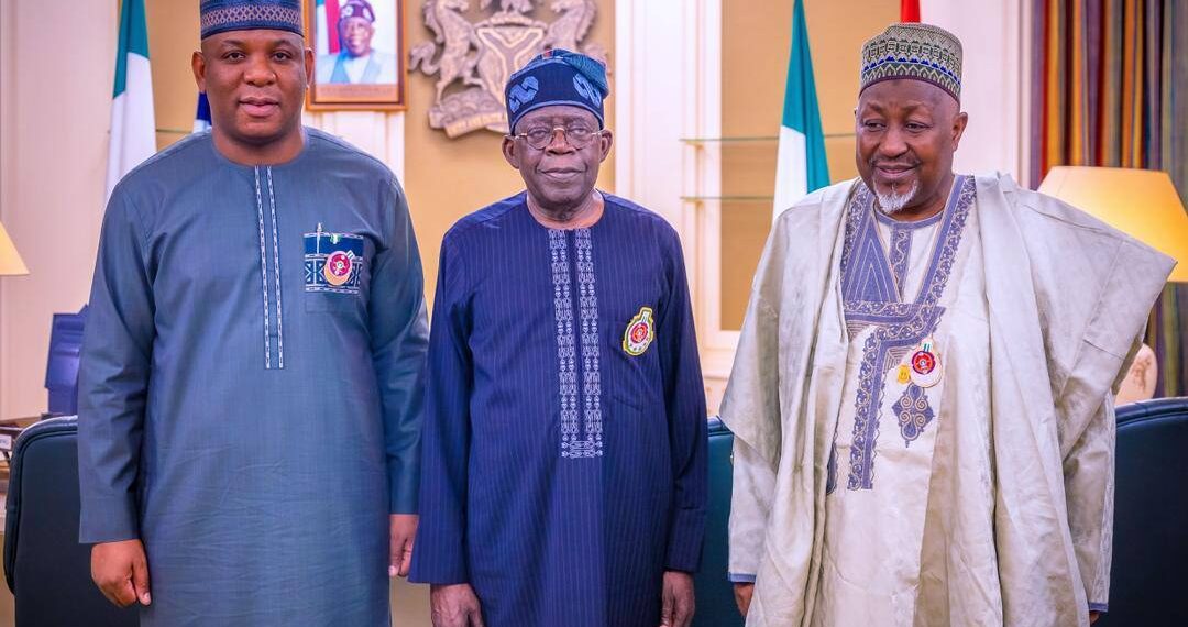 Ministers brief Tinubu on $10bn Investment prospect in Steel Industry