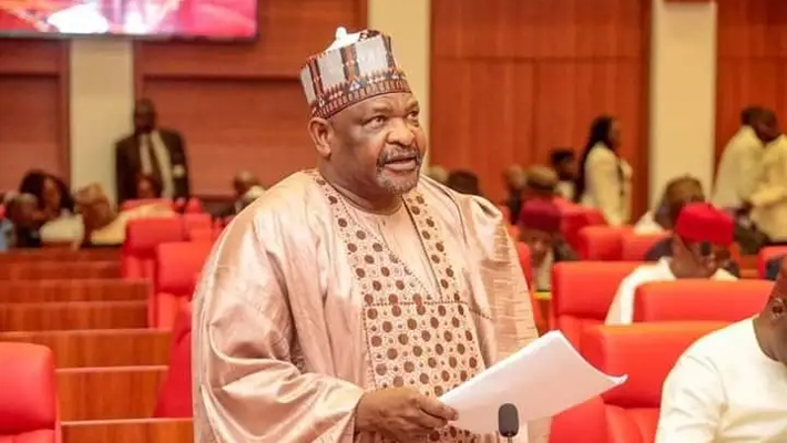 Budget Padding Remarks: Senate recalls Ningi from suspension