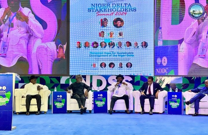 Tinubu to NDDC: Change your approach to transform the Niger Delta Region 