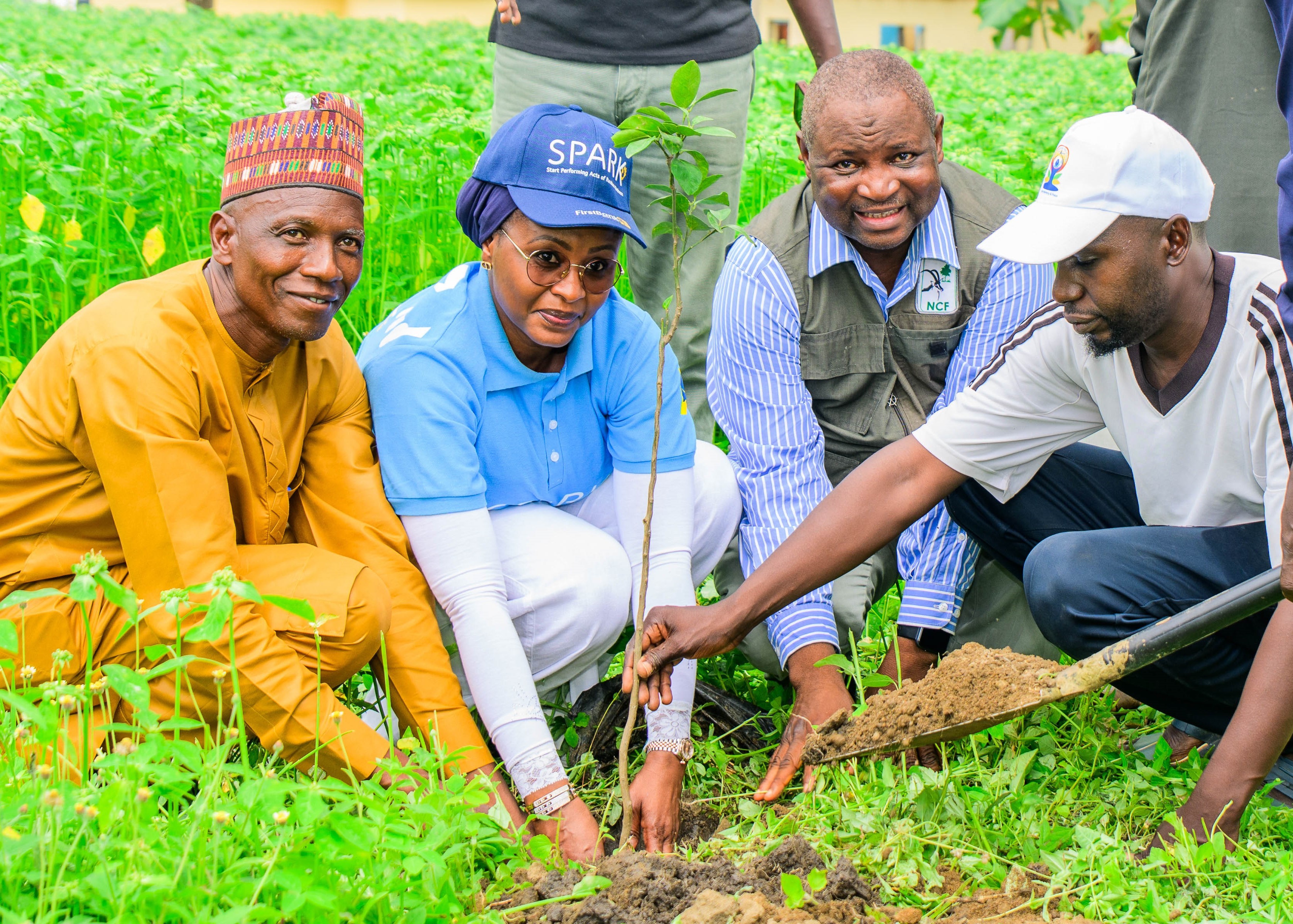 Tree Planting: First Bank, NCF extend exercise to FCT, target 50,000