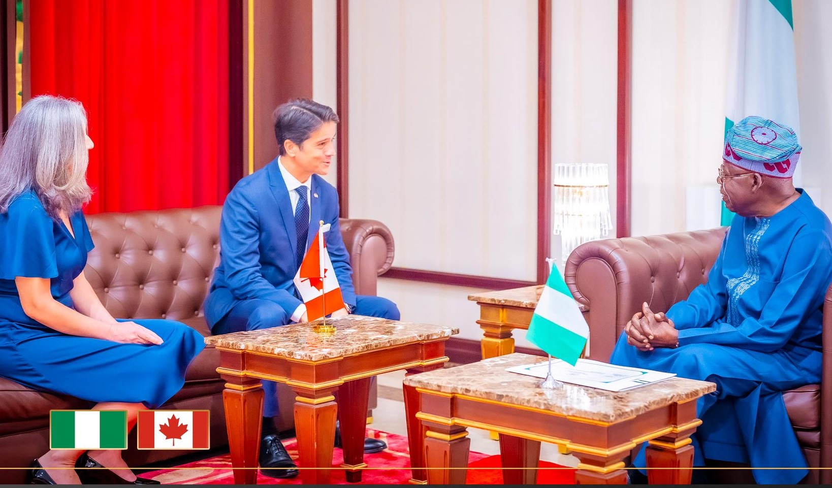 Nigerians active in Government, Business, Science, Sports in Canada, Envoy tells Tinubu