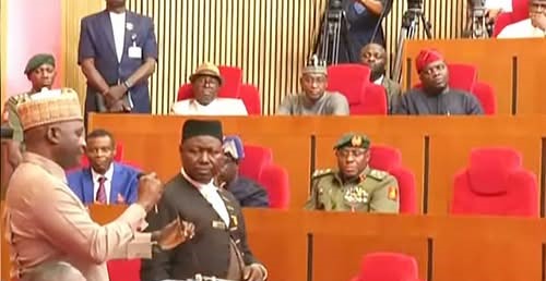 Insecurity: We cannot win the War until we are determined, says Nigeria's Defence Minister