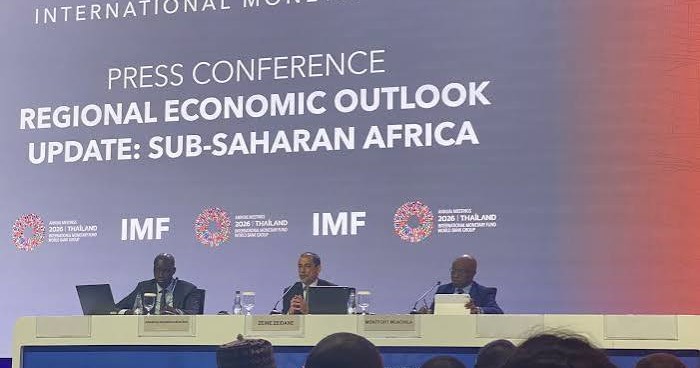 IMF hails Nigeria’s Economic Growth Outlook, backs CBN's Monetary Policy Adjustment
